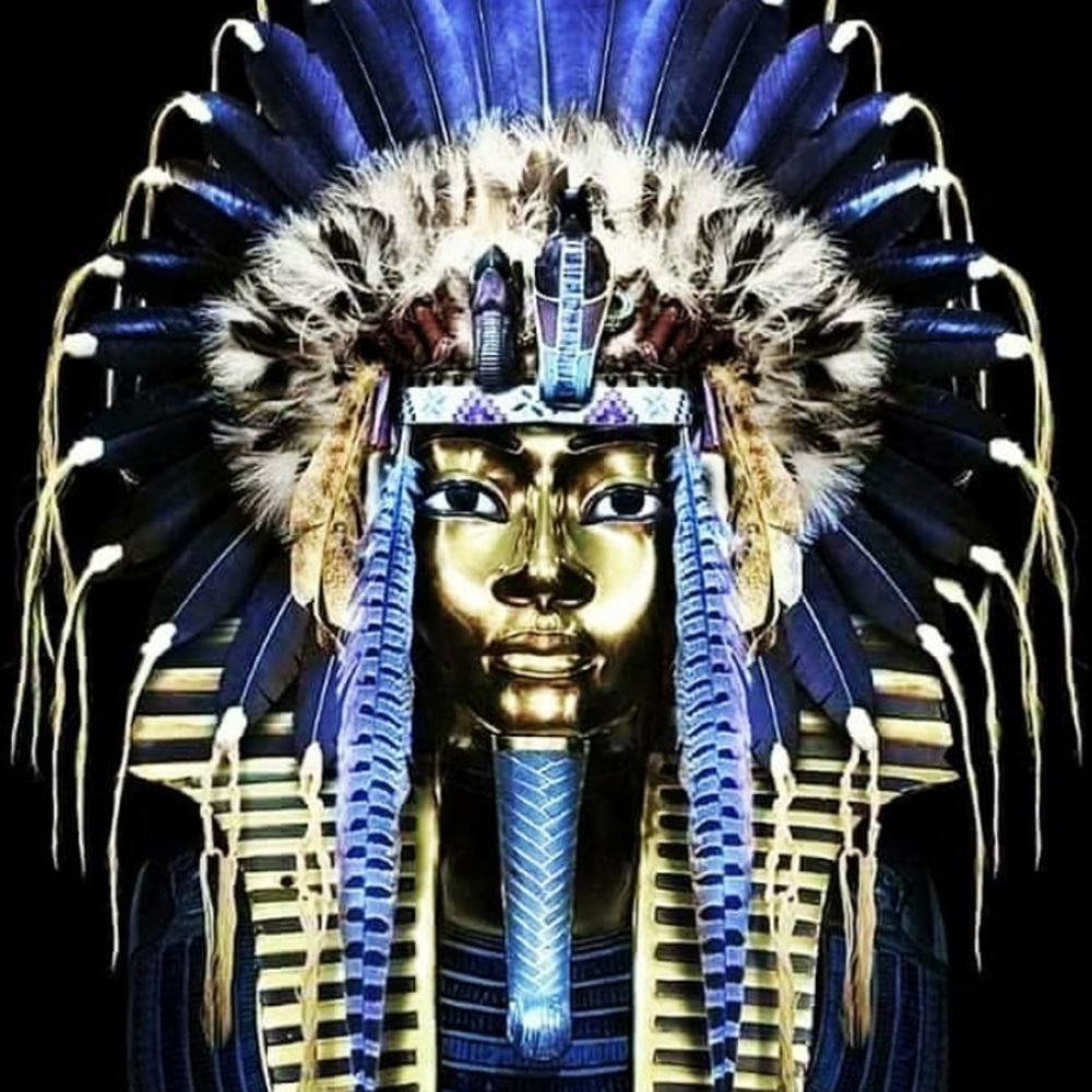 Meet your Posher, Trell